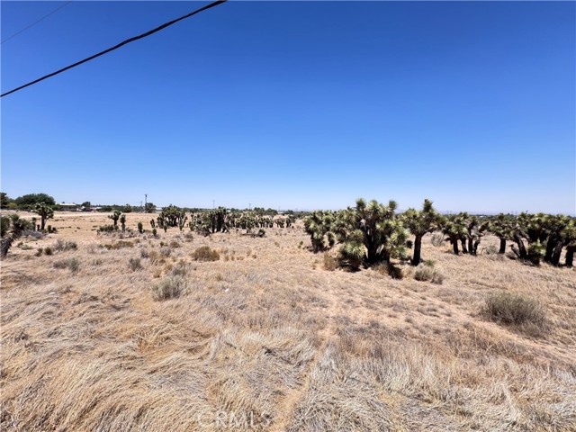 MLS #IG25144859 image #14