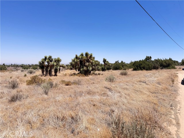 MLS #IG25144859 image #2