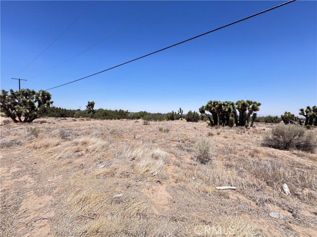 MLS #IG25144859 image #3