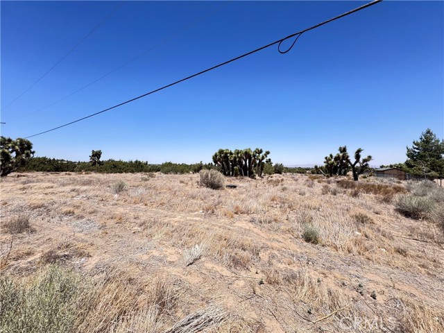 MLS #IG25144859 image #5