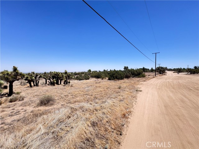 MLS #IG25144859 image #6