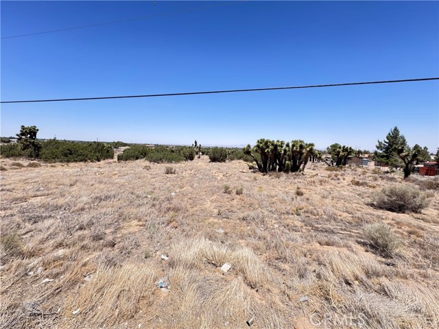 MLS #IG25144859 image #7