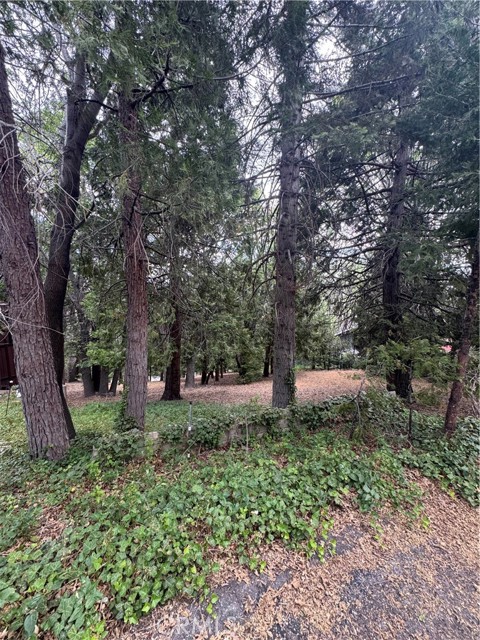 MLS #IG25149585 image #1