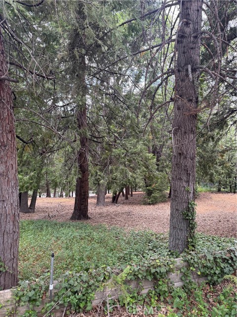 MLS #IG25149585 image #10