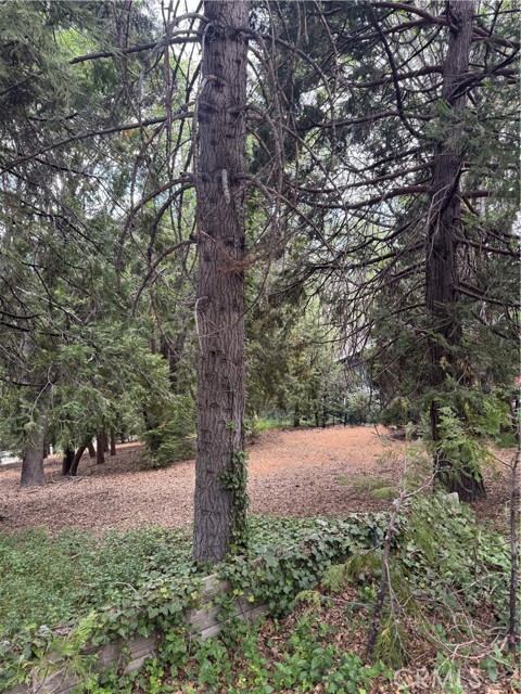 MLS #IG25149585 image #11