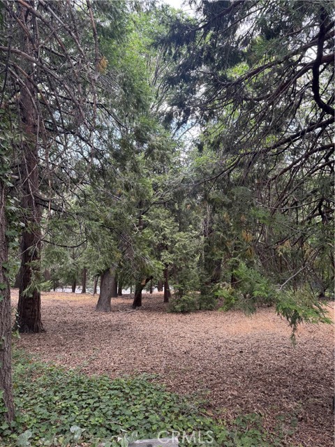 MLS #IG25149585 image #12