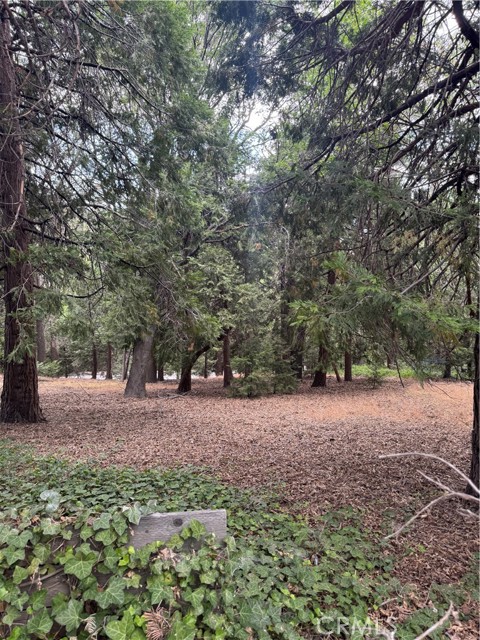 MLS #IG25149585 image #13