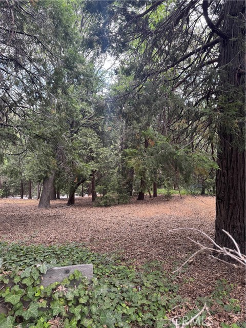 MLS #IG25149585 image #14