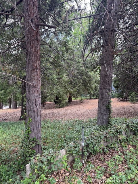 MLS #IG25149585 image #15