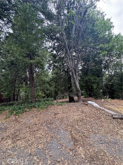 MLS #IG25149585 image #2