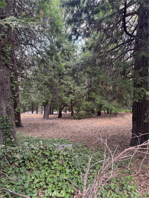 MLS #IG25149585 image #5