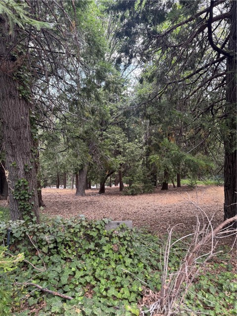 MLS #IG25149585 image #6