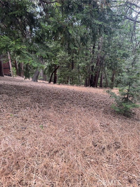 MLS #IG25149585 image #7