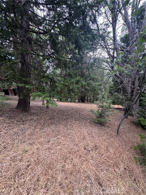 MLS #IG25149585 image #8