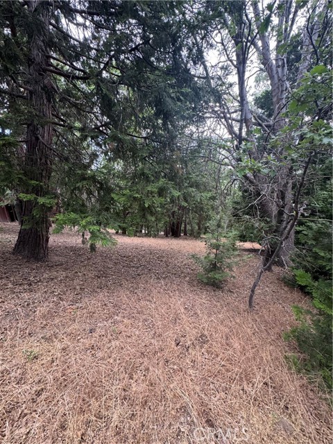 MLS #IG25149585 image #9