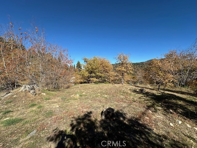 MLS #IG25150164 image #1