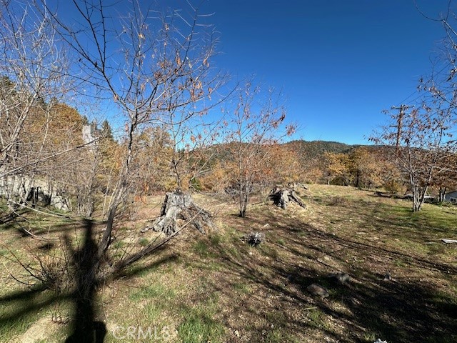 MLS #IG25150164 image #10