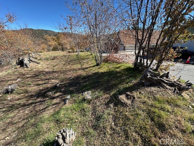 MLS #IG25150164 image #12