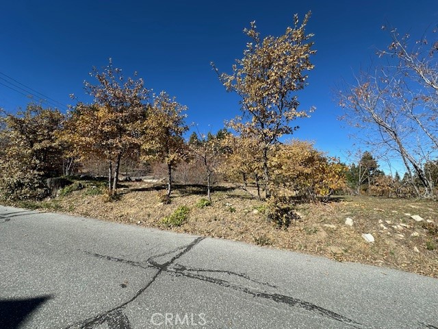 MLS #IG25150164 image #15