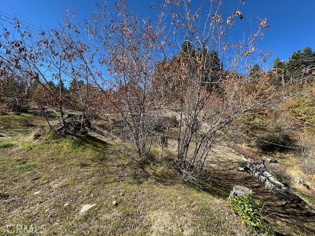 MLS #IG25150164 image #2