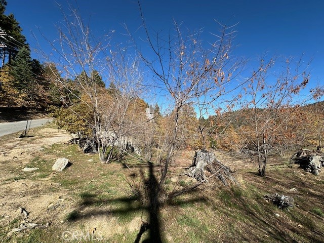 MLS #IG25150164 image #20