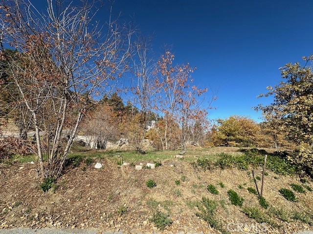 MLS #IG25150164 image #3