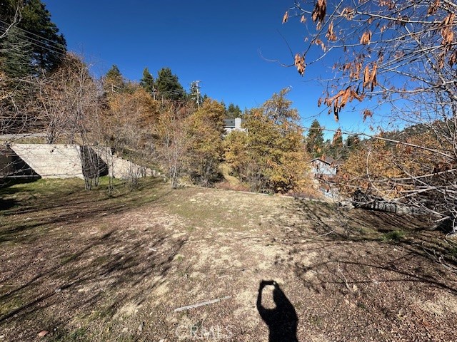 MLS #IG25150164 image #7