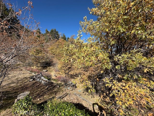 MLS #IG25150164 image #9