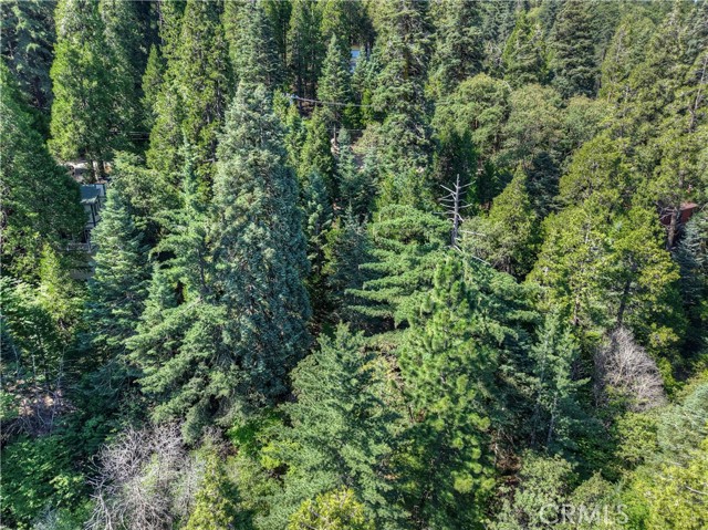 MLS #IG25157428 image #4