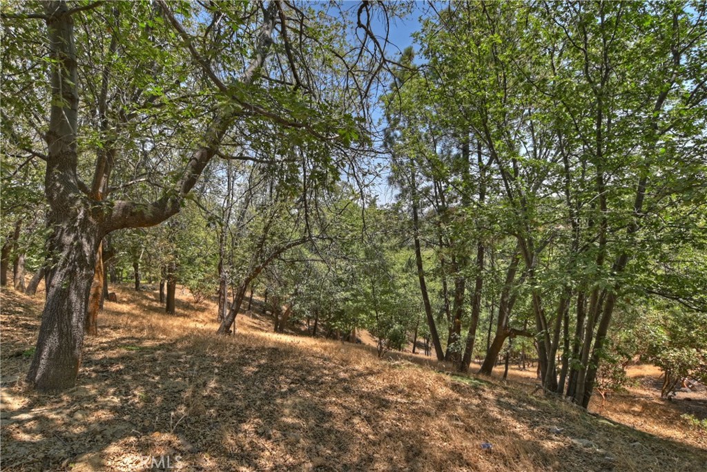 MLS #IG25162972 image #55