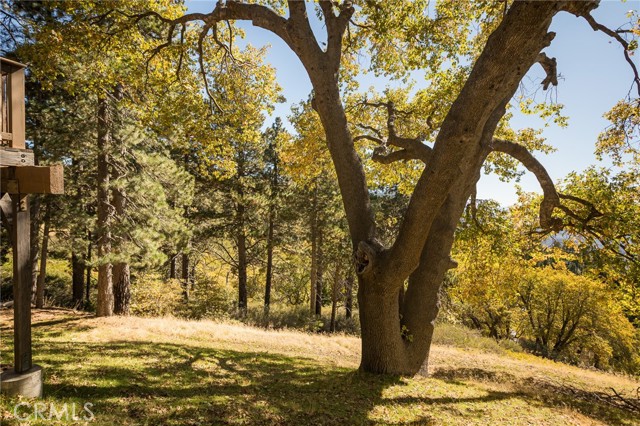 MLS #IG25165877 image #1