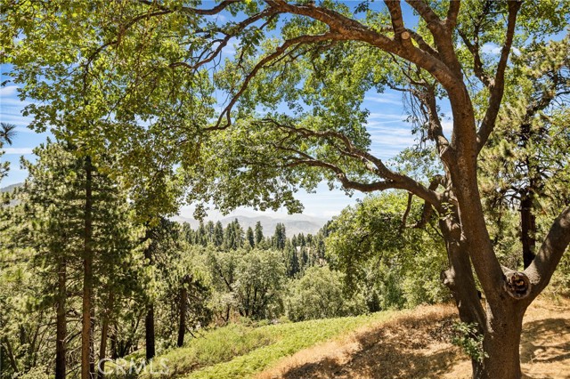 MLS #IG25165877 image #38