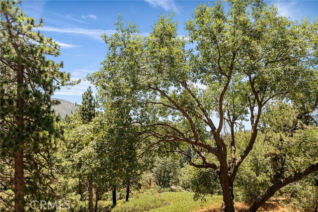 MLS #IG25165877 image #39