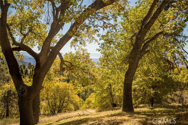 MLS #IG25165877 image #40