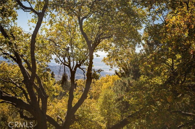 MLS #IG25165877 image #41