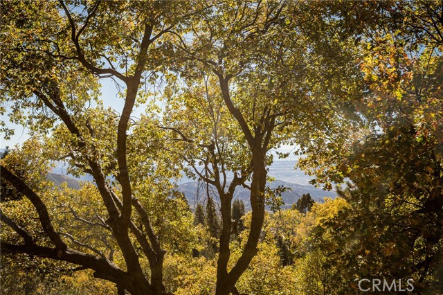 MLS #IG25165877 image #42