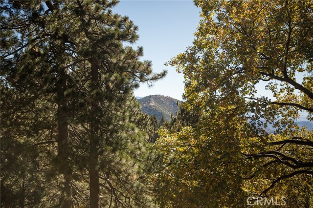 MLS #IG25165877 image #43