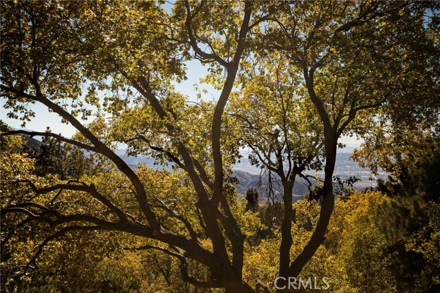 MLS #IG25165877 image #44