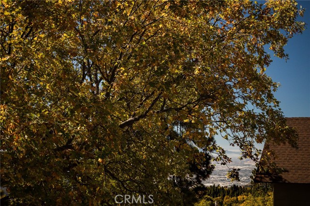 MLS #IG25165877 image #46