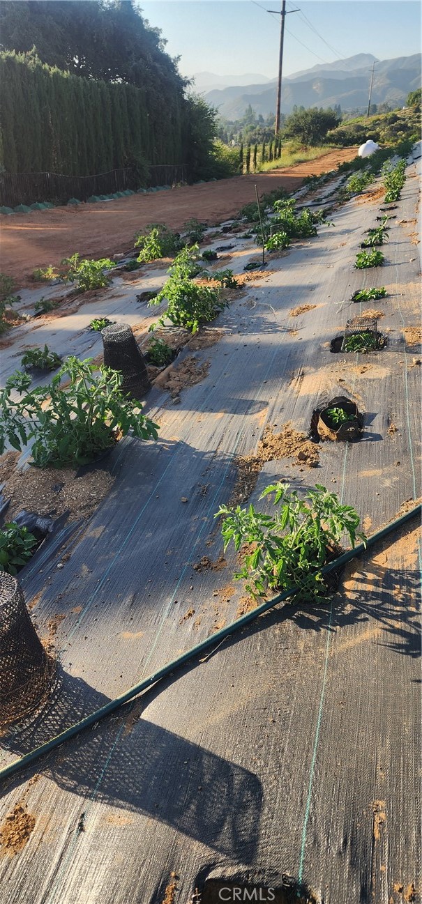 MLS #IG25168575 image #55