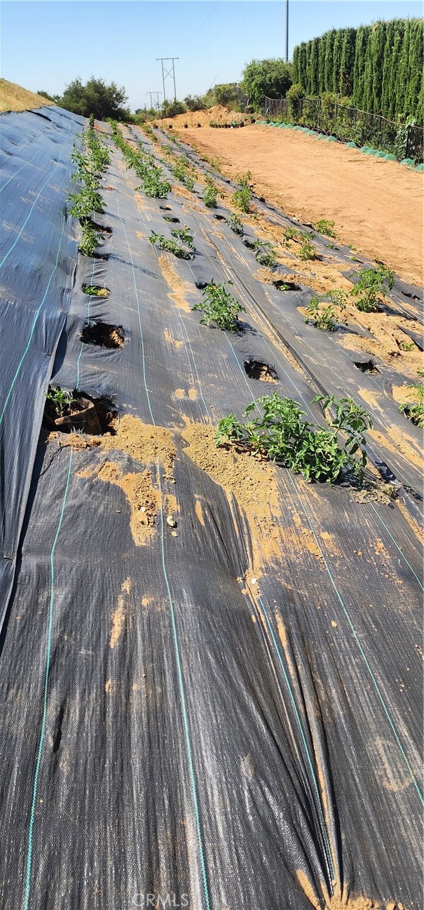 MLS #IG25168575 image #57