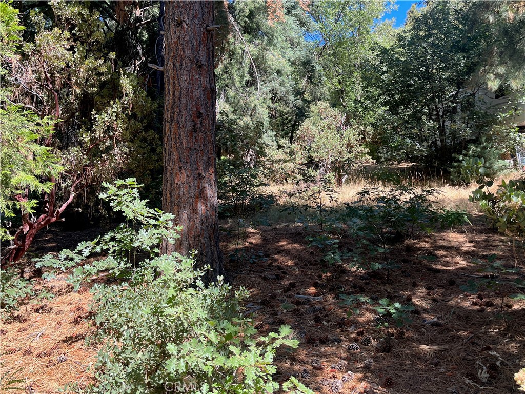 MLS #IG25168775 image #20