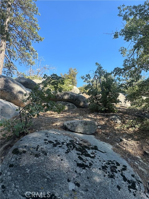 MLS #IG25170265 image #0