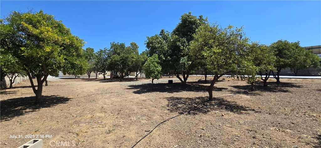 MLS #IG25173241 image #38