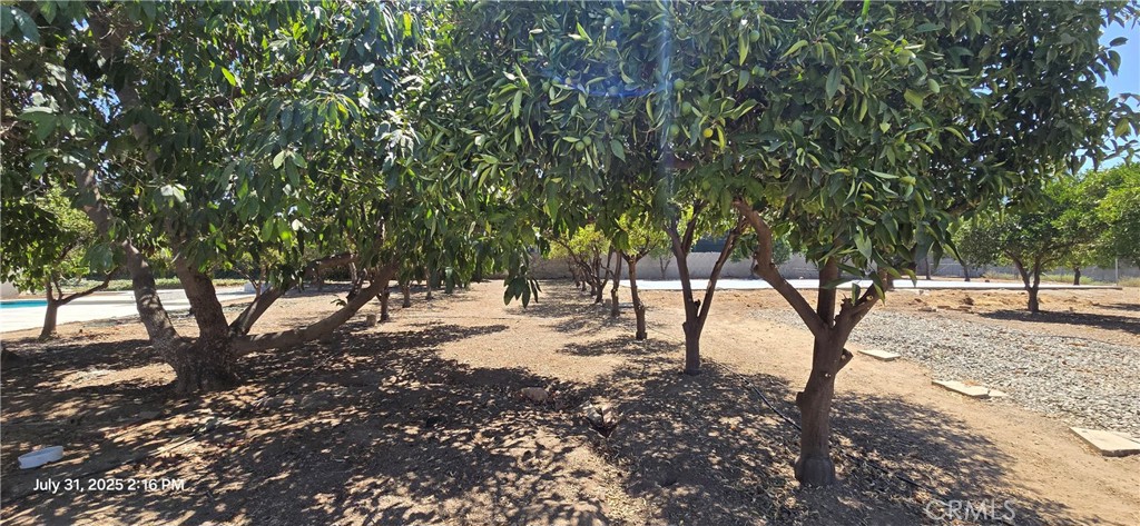 MLS #IG25173241 image #39