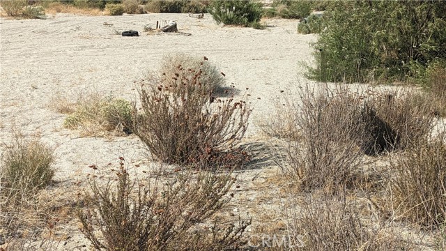 MLS #IG25173738 image #1