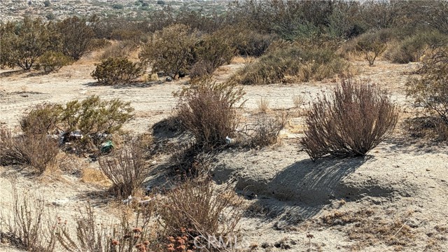 MLS #IG25173738 image #3