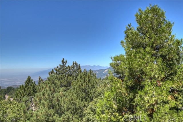 MLS #IG25174182 image #65