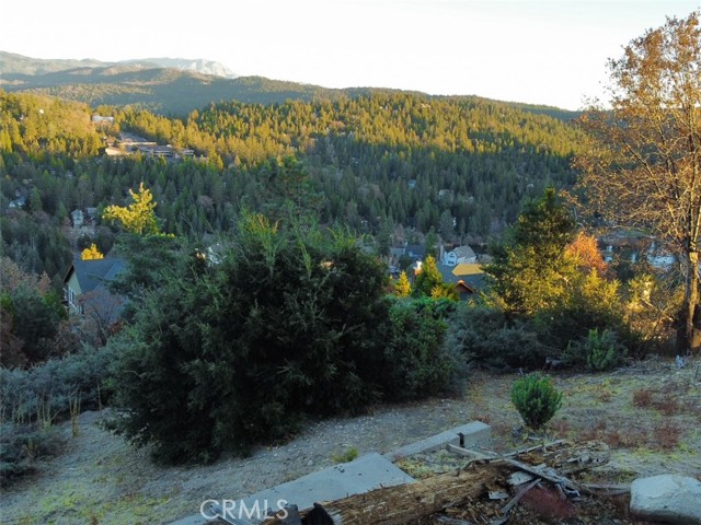 MLS #IG25177231 image #5