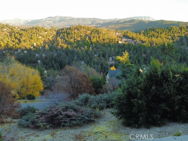 MLS #IG25177231 image #6